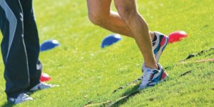 montpellier lca ligament croisé cheville chirurgie genou